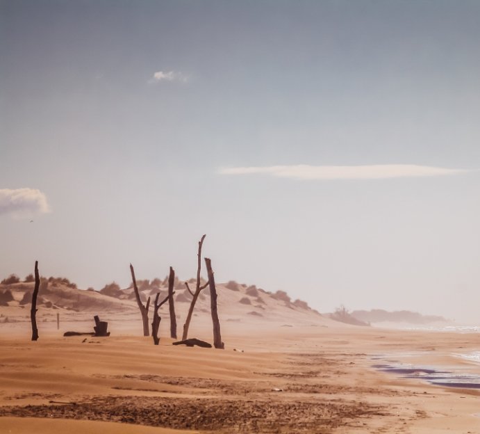 Charming in all seasons