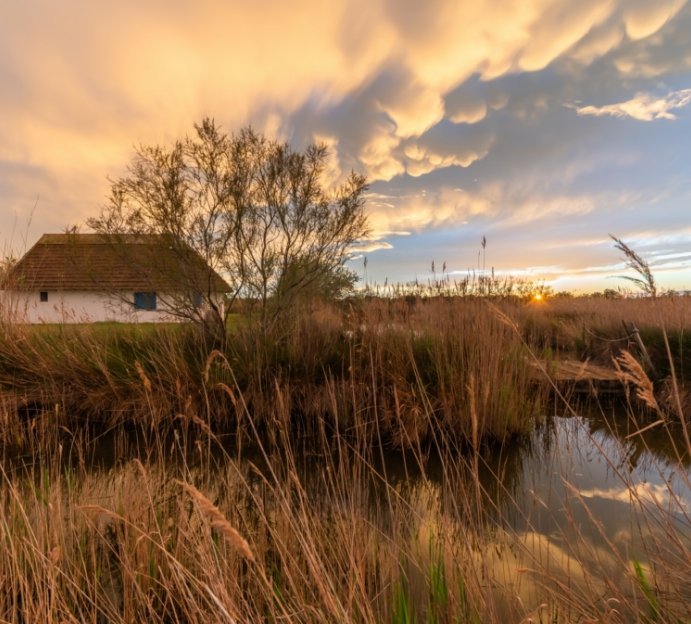 Les Saintes-Maries-de-la-Mer, the iconic capital of the Camargue